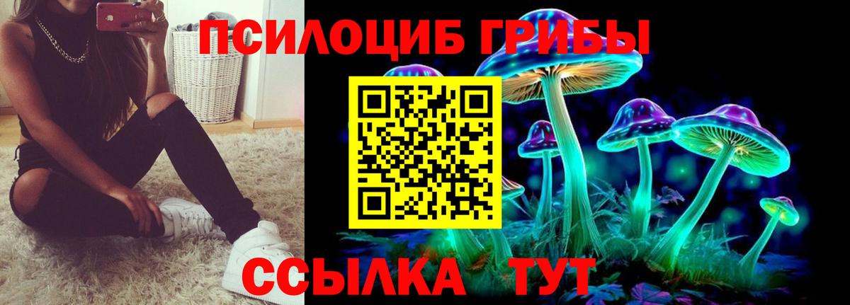 Петрозаводск  Псилоцибиновые грибы мухоморы  Вход с VPN 